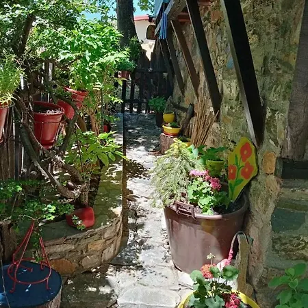 Traditional Erato 4* Palaios Panteleimonas