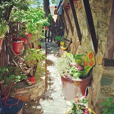 Traditional Erato Guest house *