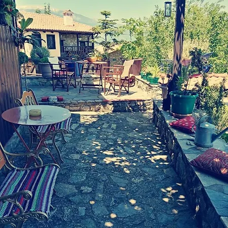 Traditional Erato Палеос-Пантелеймонас